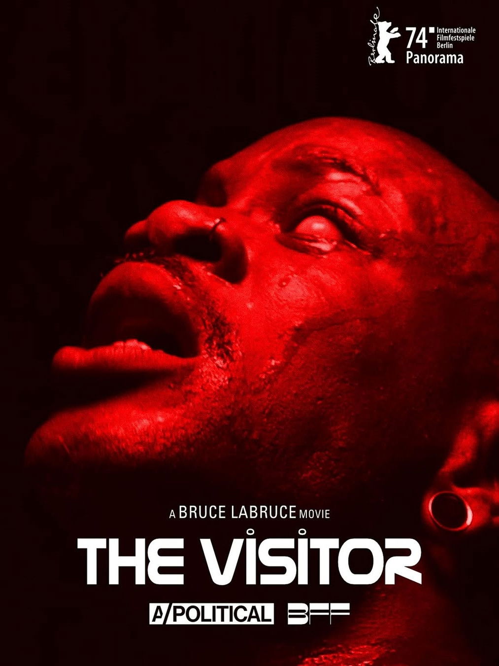 The Visitor (2024)