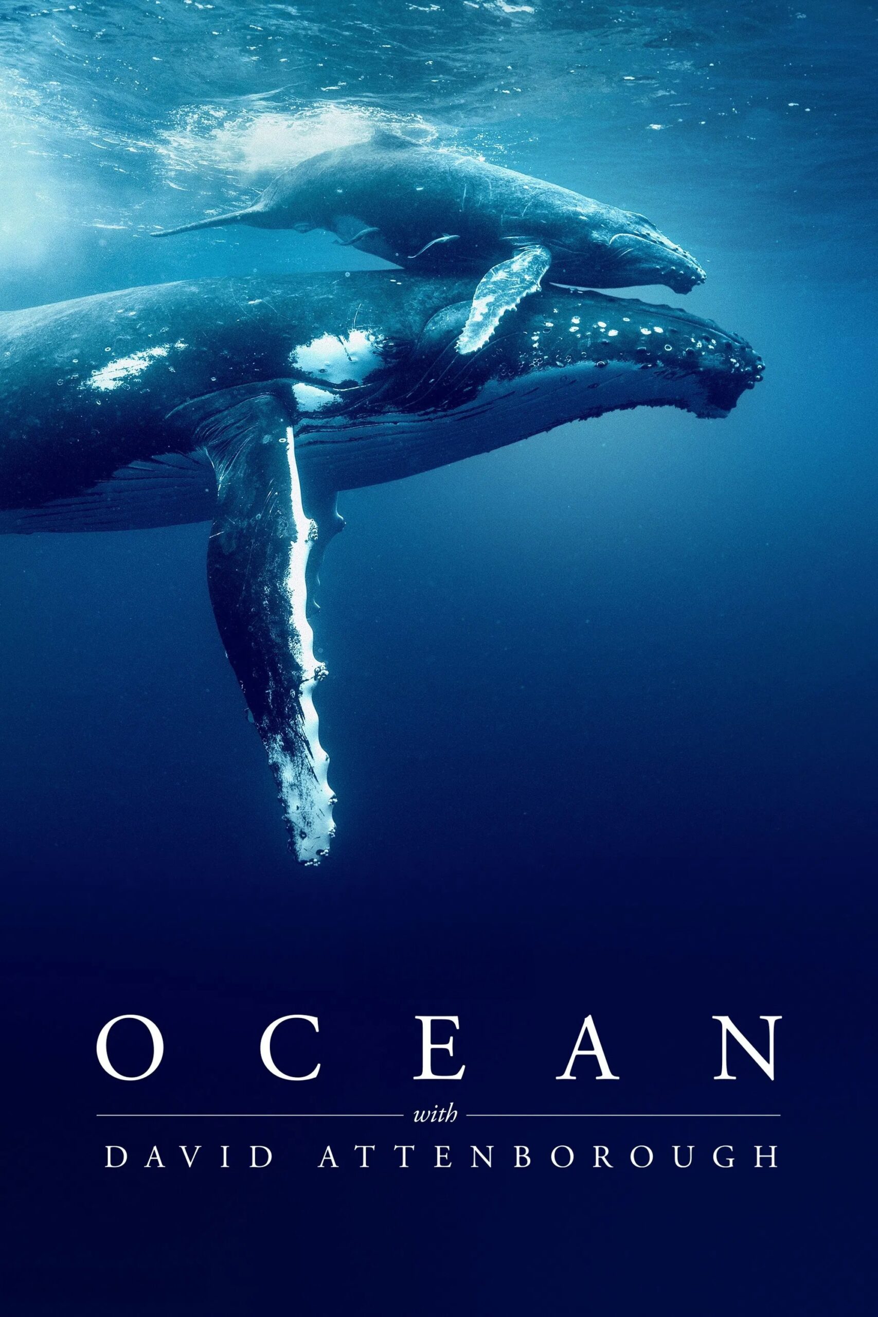 Ocean with David Attenborough (2025)